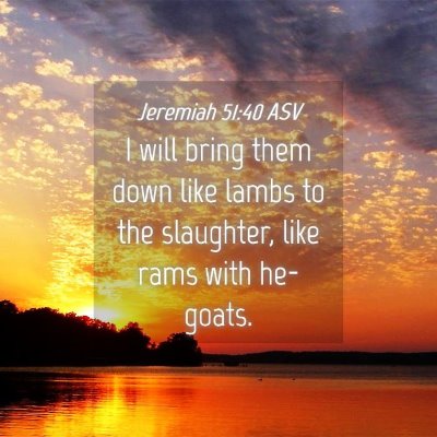 Picture 04 - Jeremiah 51:40 ASV - I will bring them down like lambs to the - Bible Verse Picture