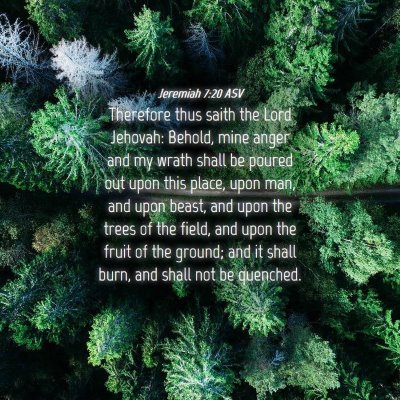 Picture 04 - Jeremiah 7:20 ASV - Therefore thus saith the Lord Jehovah: Behold, - Bible Verse Picture