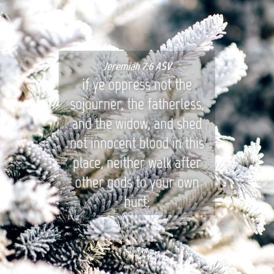 Picture 04 - Jeremiah 7:6 ASV - if ye oppress not the sojourner, the fatherless, - Bible Verse Picture