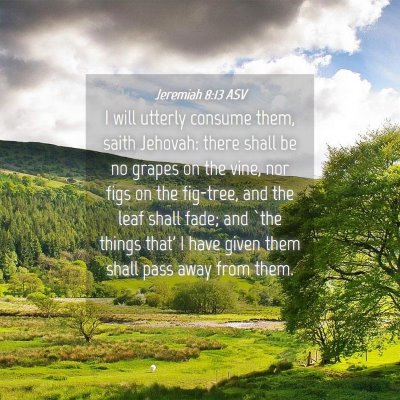 Picture 04 - Jeremiah 8:13 ASV - I will utterly consume them, saith Jehovah: there - Bible Verse Picture