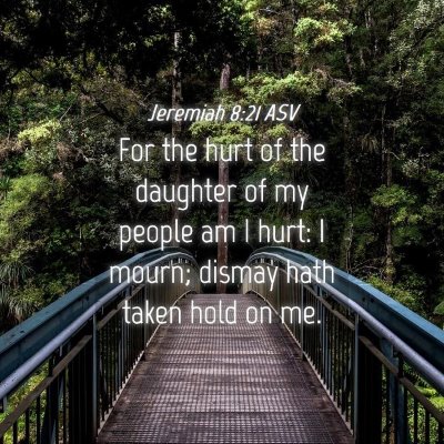 Picture 04 - Jeremiah 8:21 ASV - For the hurt of the daughter of my people am I - Bible Verse Picture