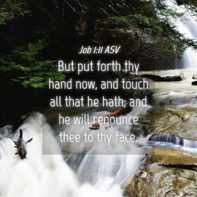 Picture 04 - Job 1:11 ASV - But put forth thy hand now, and touch all that he - Bible Verse Picture