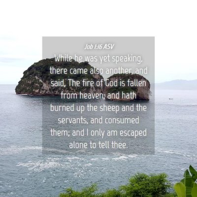 Picture 04 - Job 1:16 ASV - While he was yet speaking, there came also - Bible Verse Picture