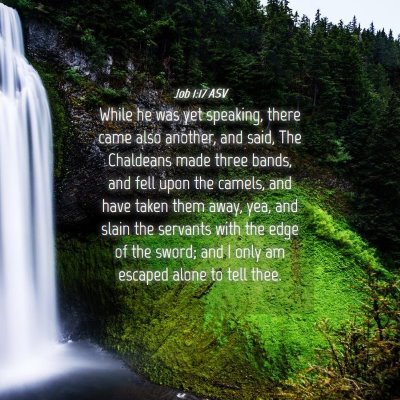 Picture 04 - Job 1:17 ASV - While he was yet speaking, there came also - Bible Verse Picture