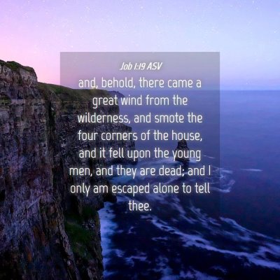 Picture 04 - Job 1:19 ASV - and, behold, there came a great wind from the - Bible Verse Picture