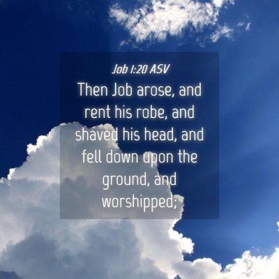 Picture 04 - Job 1:20 ASV - Then Job arose, and rent his robe, and shaved his - Bible Verse Picture