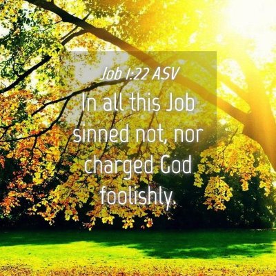 Picture 04 - Job 1:22 ASV - In all this Job sinned not, nor charged God - Bible Verse Picture