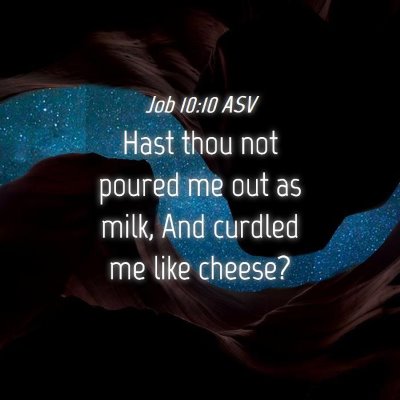 Picture 04 - Job 10:10 ASV - Hast thou not poured me out as milk, And curdled - Bible Verse Picture