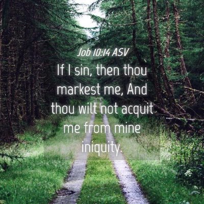 Picture 04 - Job 10:14 ASV - If I sin, then thou markest me, And thou wilt not - Bible Verse Picture