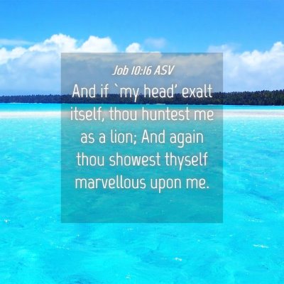Picture 04 - Job 10:16 ASV - And if `my head' exalt itself, thou huntest me as - Bible Verse Picture