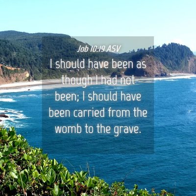 Picture 04 - Job 10:19 ASV - I should have been as though I had not been; I - Bible Verse Picture