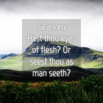 Picture 04 - Job 10:4 ASV - Hast thou eyes of flesh? Or seest thou as man - Bible Verse Picture
