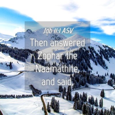 Picture 04 - Job 11:1 ASV - Then answered Zophar the Naamathite, and - Bible Verse Picture