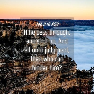 Picture 04 - Job 11:10 ASV - If he pass through, and shut up, And all unto - Bible Verse Picture