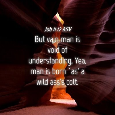 Picture 04 - Job 11:12 ASV - But vain man is void of understanding, Yea, man - Bible Verse Picture