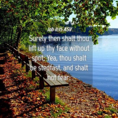Picture 04 - Job 11:15 ASV - Surely then shalt thou lift up thy face without - Bible Verse Picture