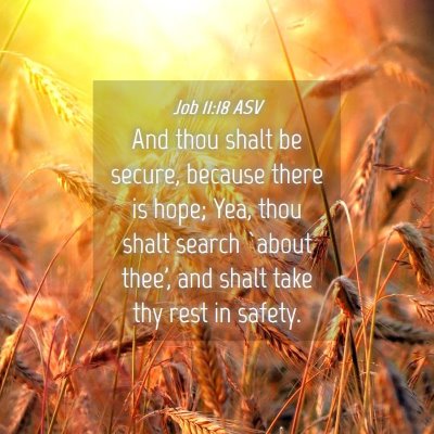 Picture 04 - Job 11:18 ASV - And thou shalt be secure, because there is hope; - Bible Verse Picture