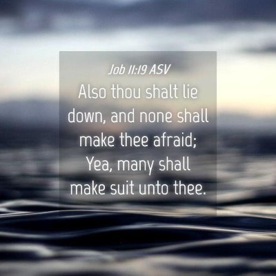 Picture 04 - Job 11:19 ASV - Also thou shalt lie down, and none shall make - Bible Verse Picture