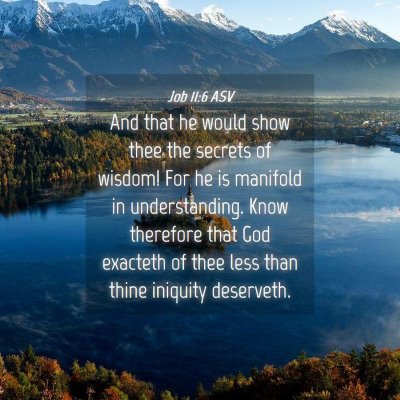 Picture 04 - Job 11:6 ASV - And that he would show thee the secrets of - Bible Verse Picture