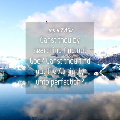 Picture 04 - Job 11:7 ASV - Canst thou by searching find out God? Canst thou - Bible Verse Picture