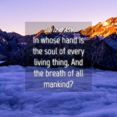 Picture 04 - Job 12:10 ASV - In whose hand is the soul of every living thing, - Bible Verse Picture