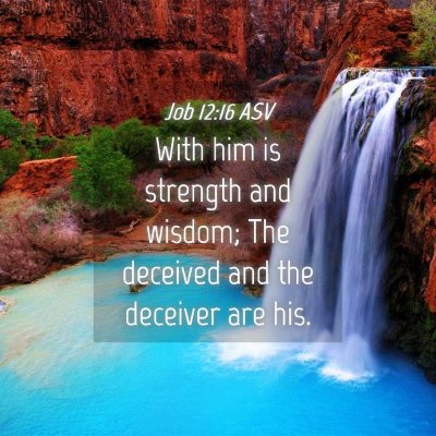 Picture 04 - Job 12:16 ASV - With him is strength and wisdom; The deceived and - Bible Verse Picture