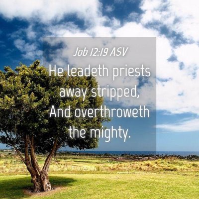 Picture 04 - Job 12:19 ASV - He leadeth priests away stripped, And - Bible Verse Picture