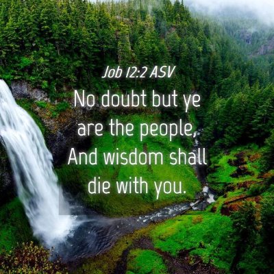 Picture 04 - Job 12:2 ASV - No doubt but ye are the people, And wisdom shall - Bible Verse Picture