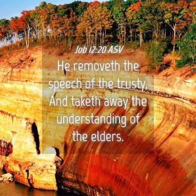 Picture 04 - Job 12:20 ASV - He removeth the speech of the trusty, And taketh - Bible Verse Picture