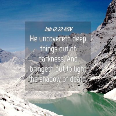 Picture 04 - Job 12:22 ASV - He uncovereth deep things out of darkness, And - Bible Verse Picture