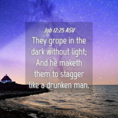 Picture 04 - Job 12:25 ASV - They grope in the dark without light; And he - Bible Verse Picture