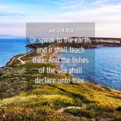 Picture 04 - Job 12:8 ASV - Or speak to the earth, and it shall teach thee; - Bible Verse Picture