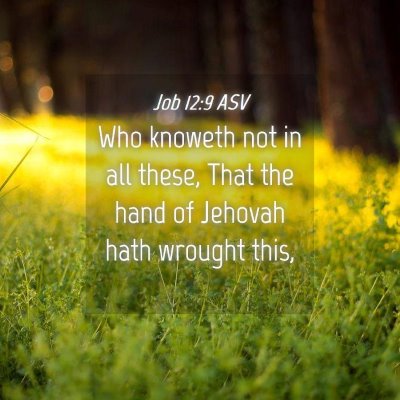 Picture 04 - Job 12:9 ASV - Who knoweth not in all these, That the hand of - Bible Verse Picture