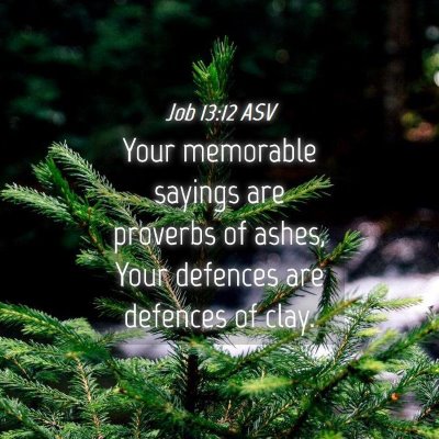 Picture 04 - Job 13:12 ASV - Your memorable sayings are proverbs of ashes, - Bible Verse Picture