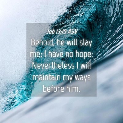 Picture 04 - Job 13:15 ASV - Behold, he will slay me; I have no hope: - Bible Verse Picture