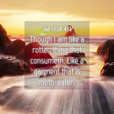 Picture 04 - Job 13:28 ASV - Though I am like a rotten thing that consumeth, - Bible Verse Picture