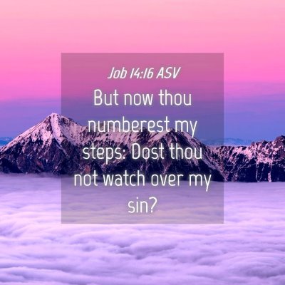 Picture 04 - Job 14:16 ASV - But now thou numberest my steps: Dost thou not - Bible Verse Picture