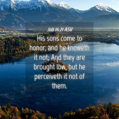 Picture 04 - Job 14:21 ASV - His sons come to honor, and he knoweth it not; - Bible Verse Picture