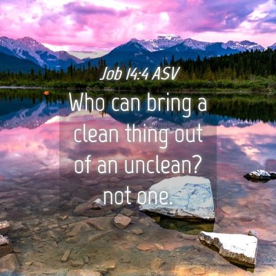 Picture 04 - Job 14:4 ASV - Who can bring a clean thing out of an unclean? - Bible Verse Picture