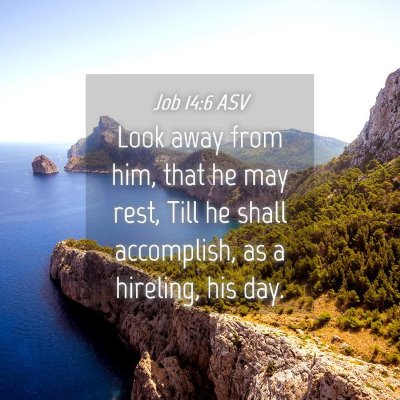 Picture 04 - Job 14:6 ASV - Look away from him, that he may rest, Till he - Bible Verse Picture