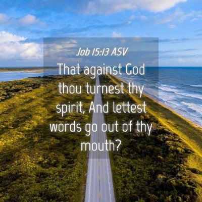 Picture 04 - Job 15:13 ASV - That against God thou turnest thy spirit, And - Bible Verse Picture