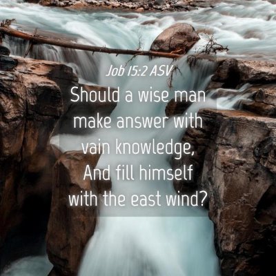 Picture 04 - Job 15:2 ASV - Should a wise man make answer with vain - Bible Verse Picture