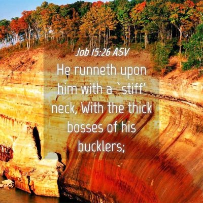 Picture 04 - Job 15:26 ASV - He runneth upon him with a `stiff' neck, With the - Bible Verse Picture