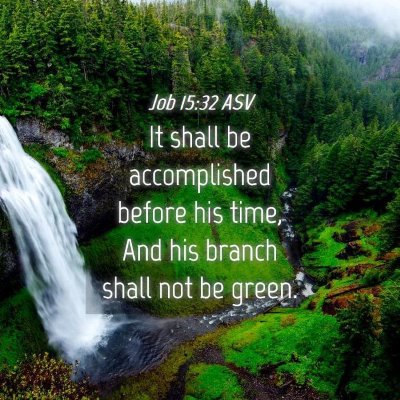 Picture 04 - Job 15:32 ASV - It shall be accomplished before his time, And his - Bible Verse Picture