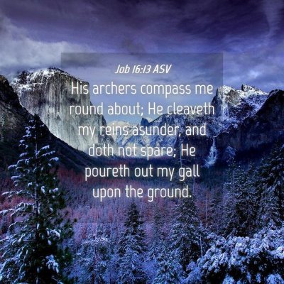 Picture 04 - Job 16:13 ASV - His archers compass me round about; He cleaveth - Bible Verse Picture