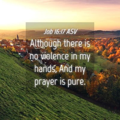 Picture 04 - Job 16:17 ASV - Although there is no violence in my hands, And my - Bible Verse Picture