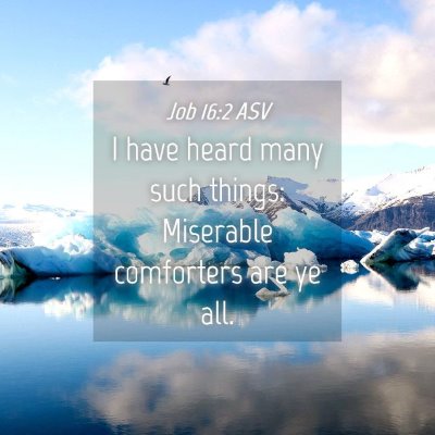 Picture 04 - Job 16:2 ASV - I have heard many such things: Miserable - Bible Verse Picture