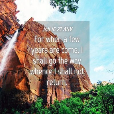 Picture 04 - Job 16:22 ASV - For when a few years are come, I shall go the way - Bible Verse Picture