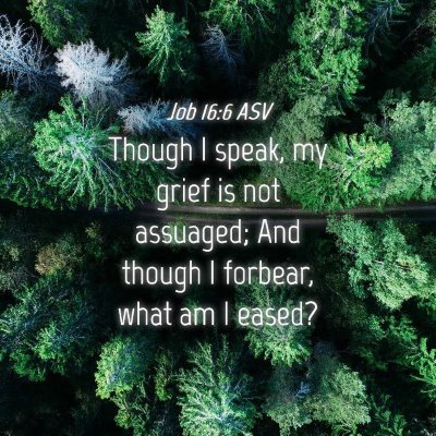 Picture 04 - Job 16:6 ASV - Though I speak, my grief is not assuaged; And - Bible Verse Picture