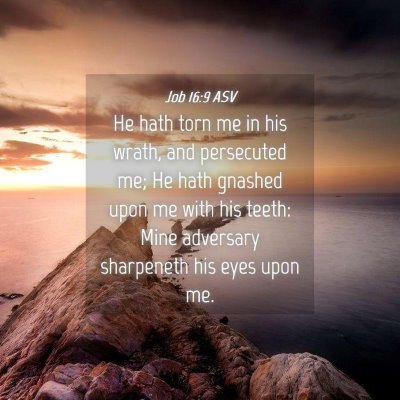Picture 04 - Job 16:9 ASV - He hath torn me in his wrath, and persecuted me; - Bible Verse Picture